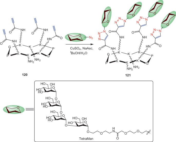 CuAAC ‘Click Chemistry’ in Synthesis of Peptides and Protein Conjugates ...