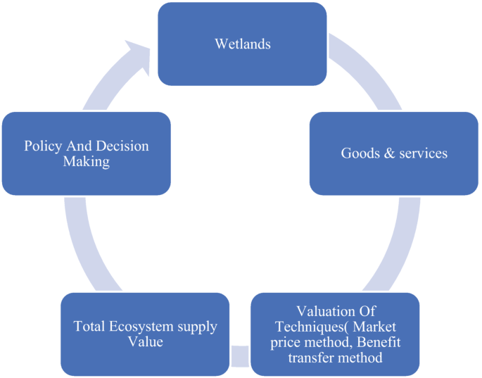 Valuation of Wetland Ecosystem Services | Springer Nature Link