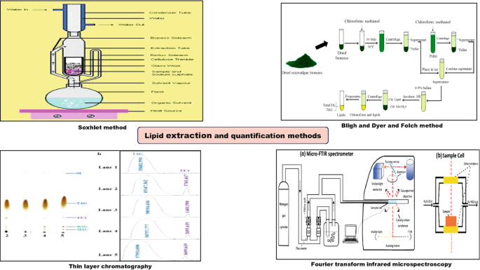 Folch Method Techniques for the Identification and Characterization of Biomolecules ...
