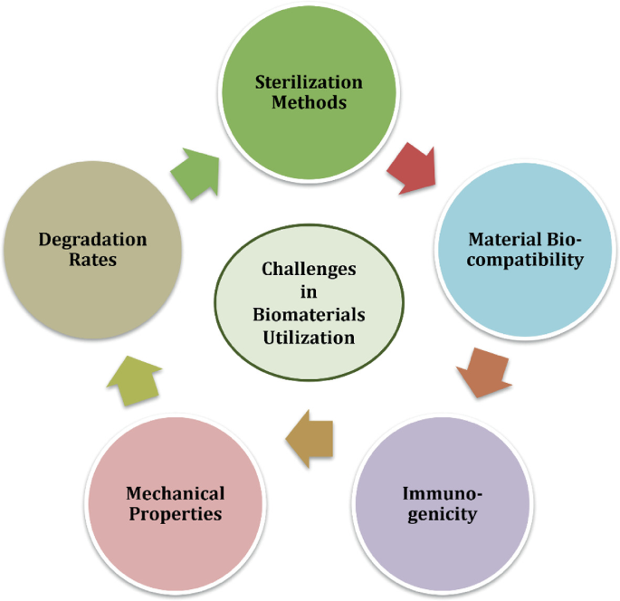 Challenges and Future Directions | SpringerLink