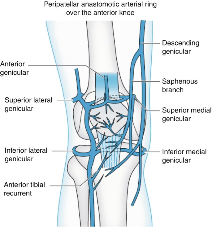 Surgical Approach | SpringerLink