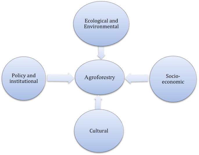 Agroforestry: A Green Solution for Climate-Resilient Farming | SpringerLink