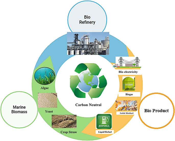 Application of Marine Biomass for Carbon Neutrality, Sustainable ...