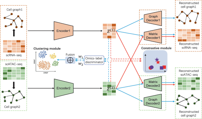 ScMOGAE: A Graph Convolutional Autoencoder-Based Multi-omics Data ...