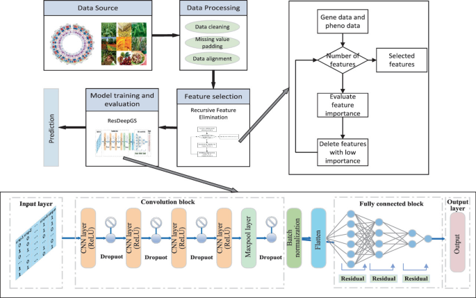 ResDeepGS: A Deep Learning-Based Method for Crop Phenotype Prediction ...