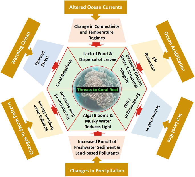 Habitat Degradation in Coral Reef Ecosystems and Mangroves: Current ...