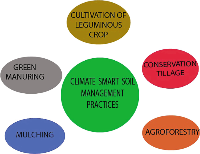 Climate Smart Soil Utilization and Management Systems in the Global ...