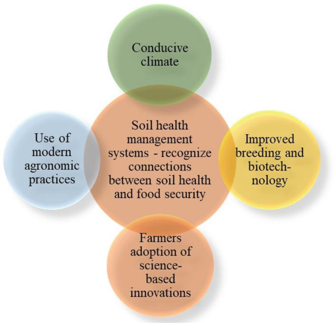 Soil System Status and Issues in the Global South | Springer Nature Link