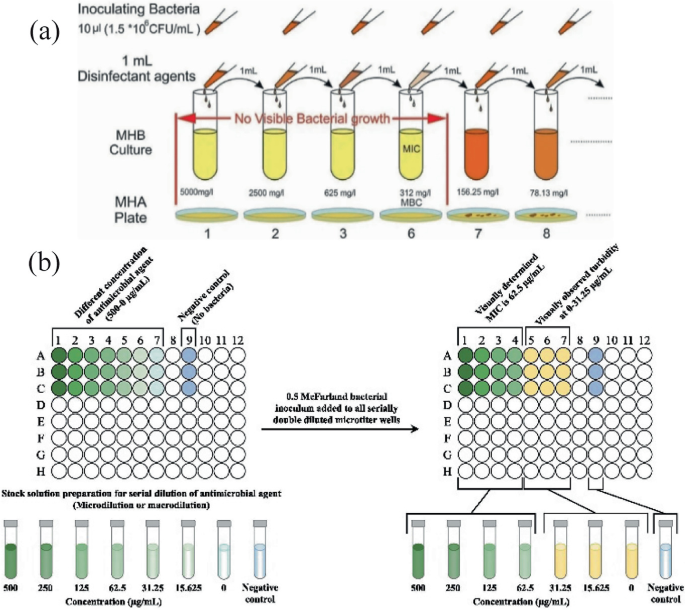 Wheel Bacteriogram Recent Advances in Phenotypic and Alternative Methods for Early ...