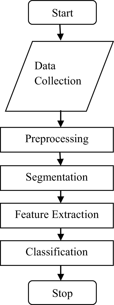 Morphology-Based Machine Learning Mechanism for Unsupervised Framework ...
