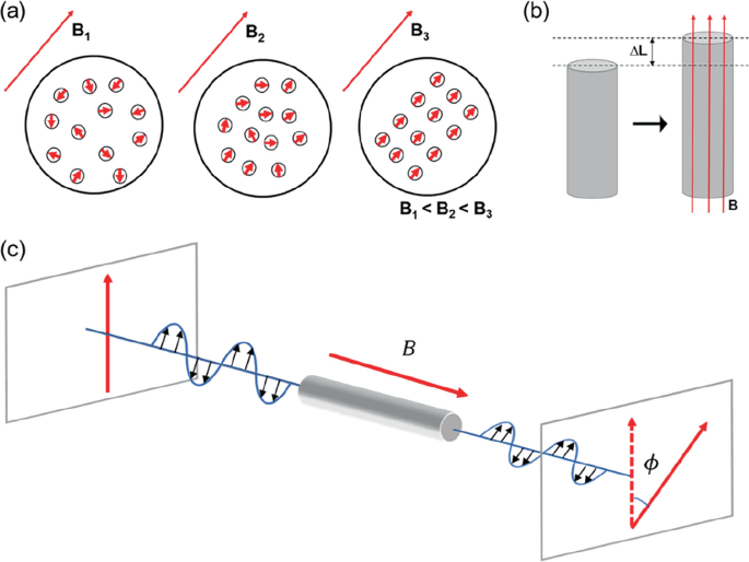 Beyond the Spectrum: Specialty Optical Fibers in Magnetic Field Sensing ...