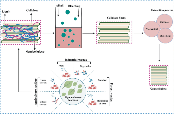 Nanocellulose Isolation Techniques | Springer Nature Link