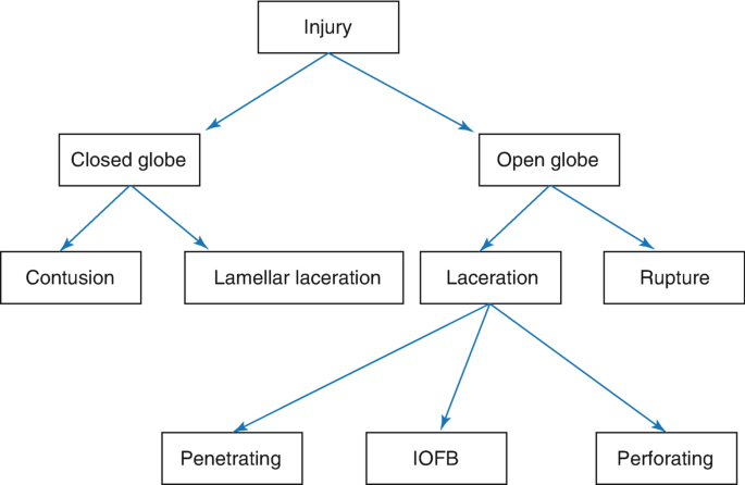 Globe Rupture Memory Note Introduction | SpringerLink