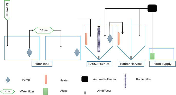 The Importance of Rotifer as Live Feed in Mariculture | SpringerLink