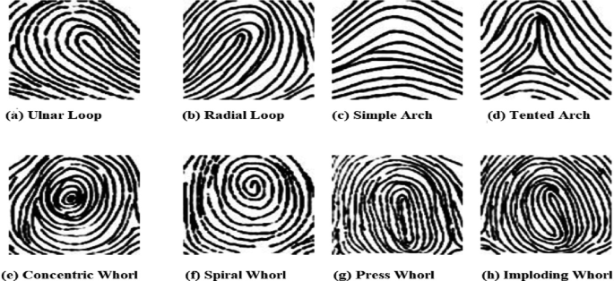Eight Specific Ridge Patterns Use of Euclidean Distance to Improve Fingerprint Matching Accuracy ...