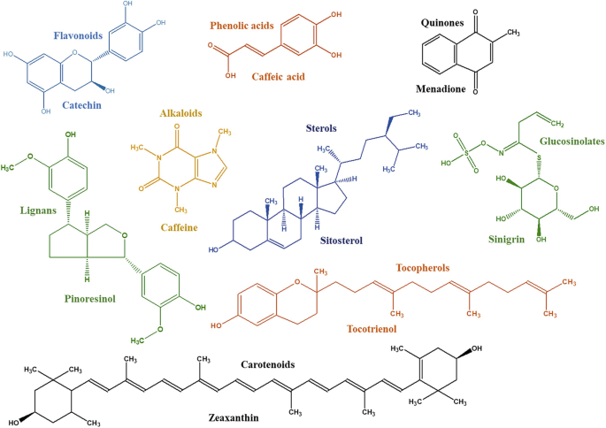 Nutrients and Secondary Metabolites Analysis of Horticulture Crops ...