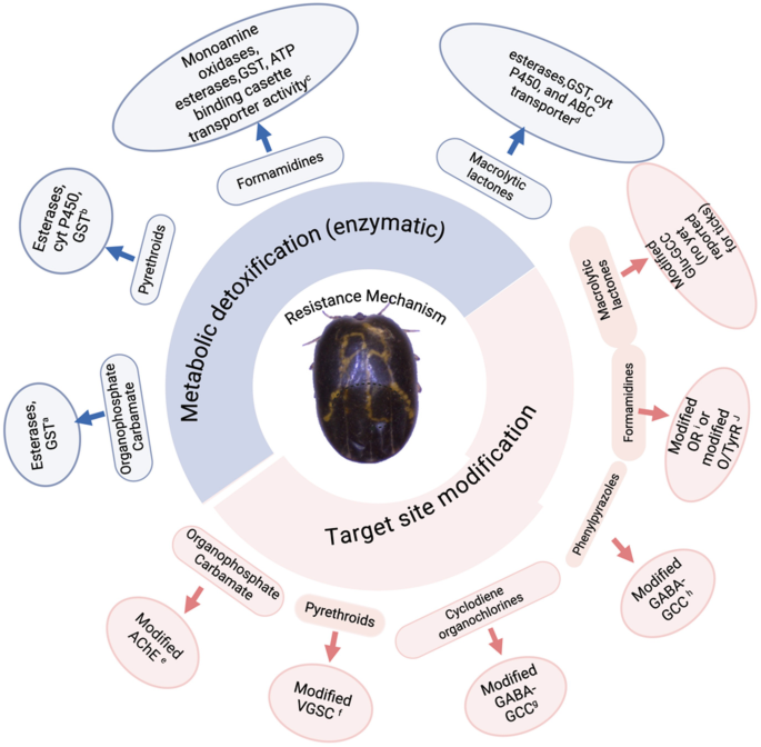 Unlocking Tick Resistance with Transcriptome-Based Bioinformatics ...