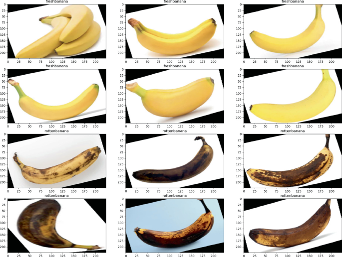 Banana Freshness Classification: A Deep Learning Approach with VGG16 ...