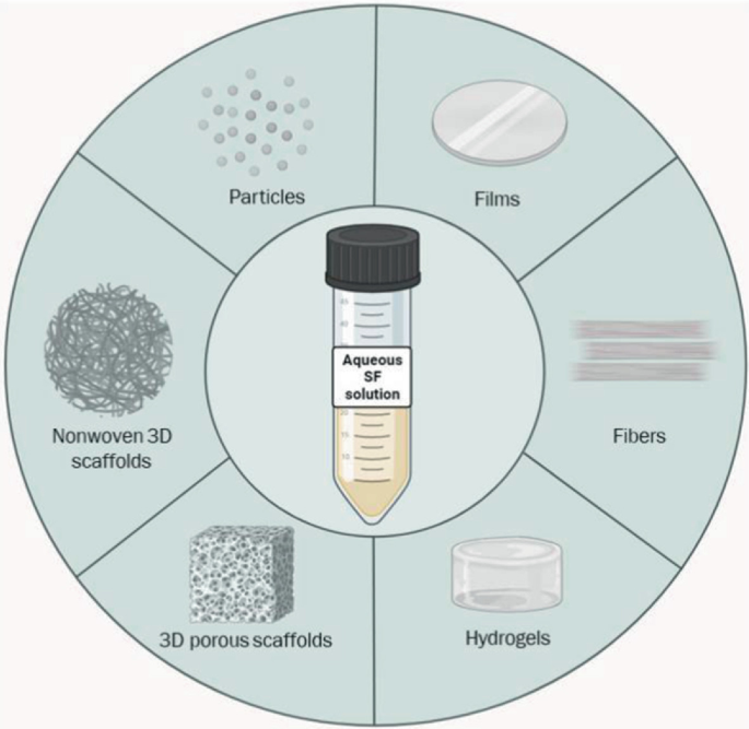 Biomedical Applications of Silk Fibroin | SpringerLink