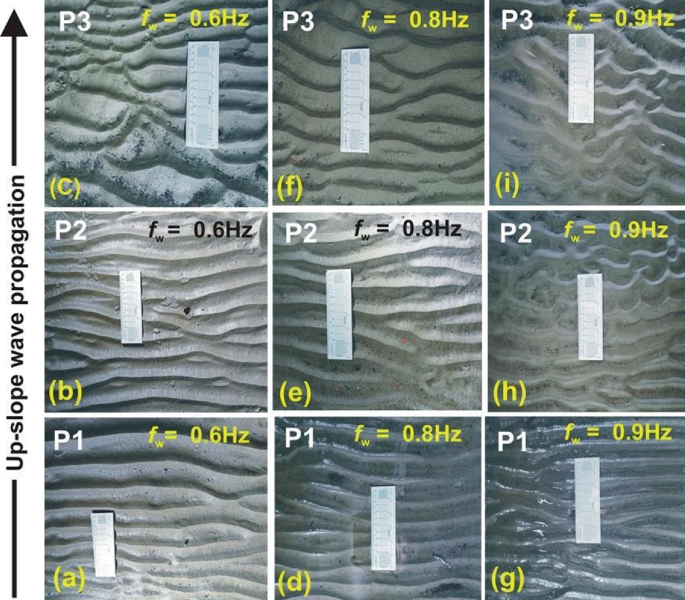 Backflow Ripples Field Flume Study on Evolution of Bed-Form and Near Bed Flow Dynamics on a ...