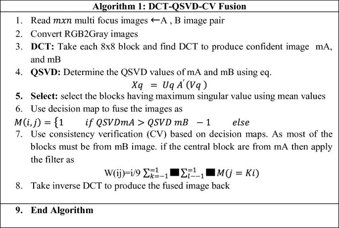 Designing an Adaptive Transform Domain Multi-Focus Image Fusion ...