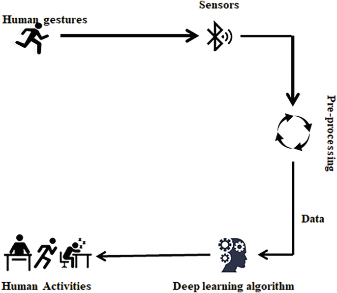 Human Activity Recognition Using Advanced Machine Learning and Deep ...