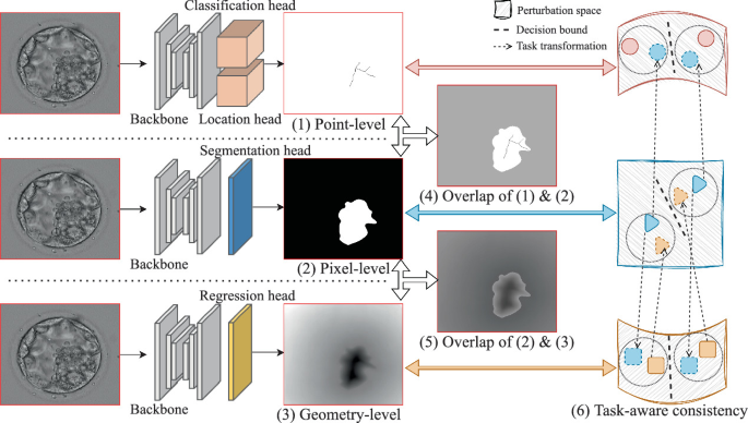 Semi-supervised Medical Image Segmentation with Strong/Weak Task-Aware ...