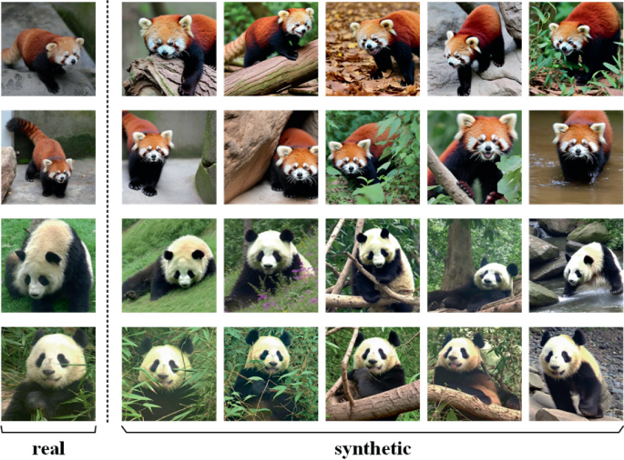 Identity-Preserving Animal Image Generation for Animal Individual ...