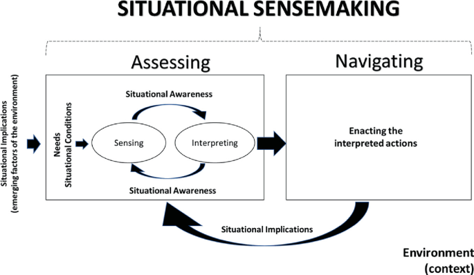 Signal Sense Making Knowing in Practice in Situational Sensemaking | Springer Nature Link