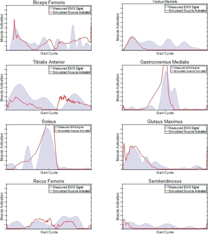 api: opensim::musclesecondorderactivationdynamicmodel... Temporal Analysis Method of Lower Limb Muscle Activation Based on ...