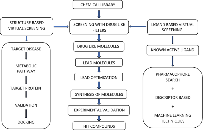 Natural Product-Based Treatment for Skin Infections | SpringerLink