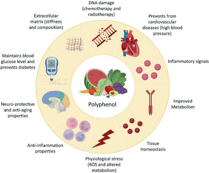 Potential Health Benefits of Polyphenols and Their Nanoformulations in ...