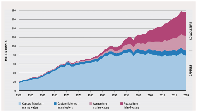 Increased Fish Production Sustainable Aquaculture, Fish Diversity, and Fish Conservation ...