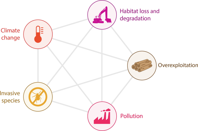 Threats to Biodiversity in Indian Siwaliks | Springer Nature Link