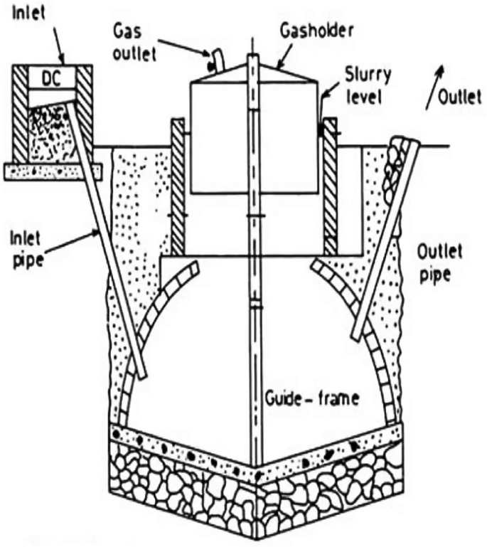 eco how to plant seeds Micro Bee Lawn Seed Mixture main image 0