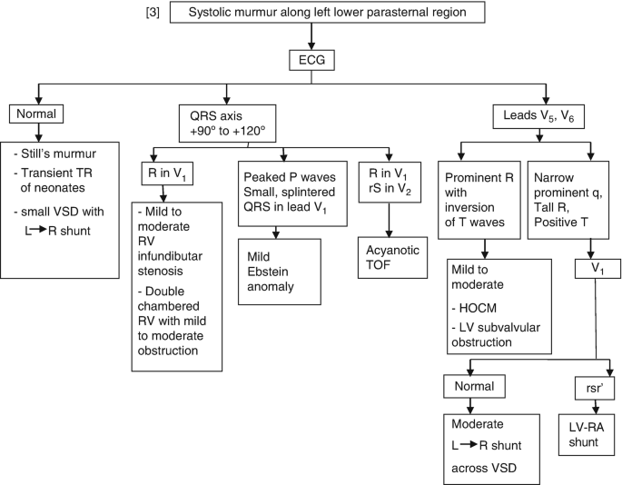 A flowchart for systolic murmur along left lower parasternal region goes through E C G to check for normal, Q R S axis + 90 degrees to + 120 degrees, and leads V 5, V 6.