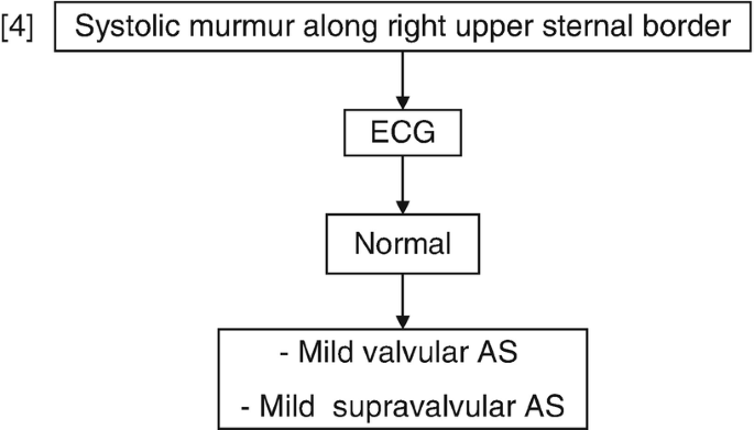 A flowchart for systolic murmur along right upper sternal border goes through E C G to normal, mild valvular A S, and mild supravalvular A S.