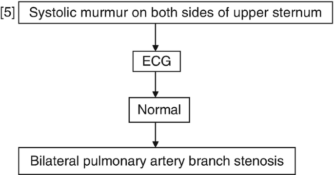 A flowchart for systolic murmur on both sides of upper sternum goes through E C G to normal and bilateral pulmonary artery branch stenosis.