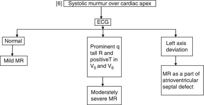 A flowchart for systolic murmur over cardiac apex goes through E C G to normal with mild M R, prominent q tall R and positive T in V 5 and V6 with moderately severe M R, and left axis deviation with M R as a part of atrioventricular septal defect.