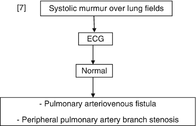 A flowchart for systolic murmur over lung fields goes through E C G to normal, pulmonary arteriovenous fistula, and peripheral pulmonary artery branch stenosis.