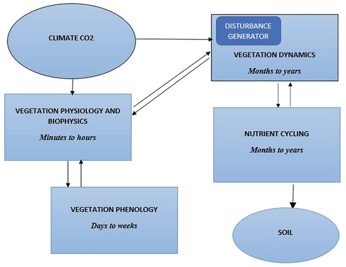 A framework. Climate c 0 2 leads to vegetation physiology and biophysics which leads to vegetation phenology which reverses to vegetation dynamics, proceeds to nutrient cycling, and ends in soil.