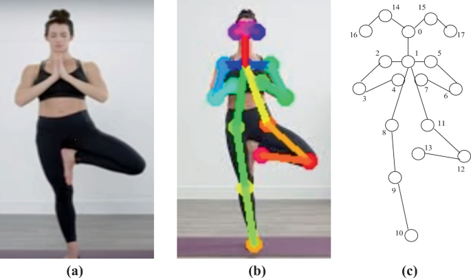 OpenPose-Based Yoga Pose Classification Using Convolutional Neural Network  | Semantic Scholar