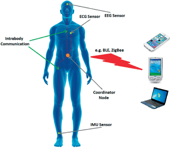 A diagram of the human body illustration with different monitoring systems labeled. Such as the E E G sensor in the head, E C G sensor in the chest, and intrabody communication points at the center of the chest and in the pelvis. Coordinator in the waistline and I M U sensor in the right ankle. Images of mobiles and laptops are also depicted.