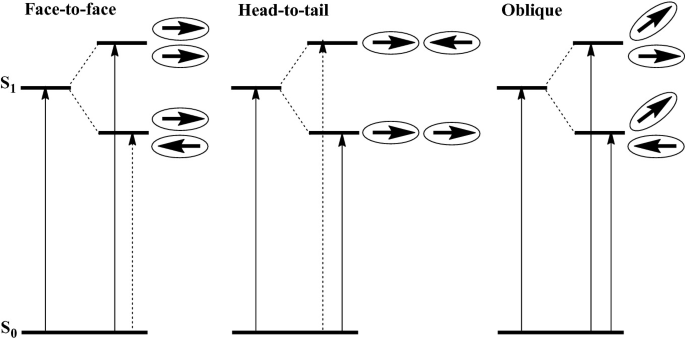 3 diagrams illustrate the face-to-face, head-to-tail, and oblique exciton interactions from State 0 to State 1, respectively.