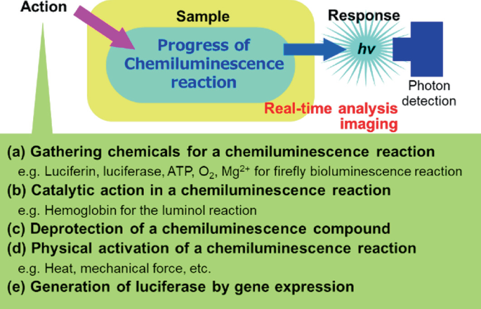 An illustration explains the real-time analysis and imaging of the C L reaction. The sample undergoes a chemical action that results in a photon, and the photon is recorded by the detector. 5 actions for chemiluminescence reactions are listed below. a. Gathering chemicals. b. Catalytic action. c. Deprotection. d. Physical activation. e. Generation of luciferase by gene expression.
