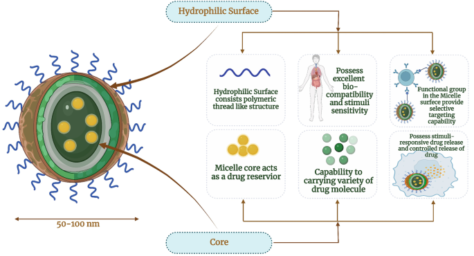 An illustration of a structure of a micelle at 50 to 100 nanometers on the left panel and a flow diagram on the right panel explain the advantages of micelles. The flow diagram represents the 3 advantages of the outer layer hydrophilic surface of the micelle on the top and the inner core region of the micelle at the bottom.