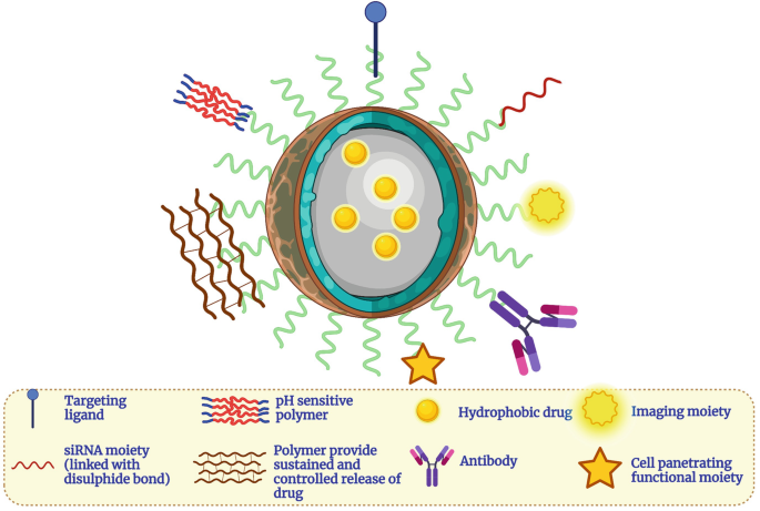 A 3-D structure of a multifunctional polymeric micelle with hydrophobic drugs in the core region. The targeting ligand, p H sensitive polymer, hydrophobic drug, imaging moiety, s I R N A moiety, polymer provide sustained and controlled release of drug and antibody are attached to the polymeric thread-like structure of the micelle.