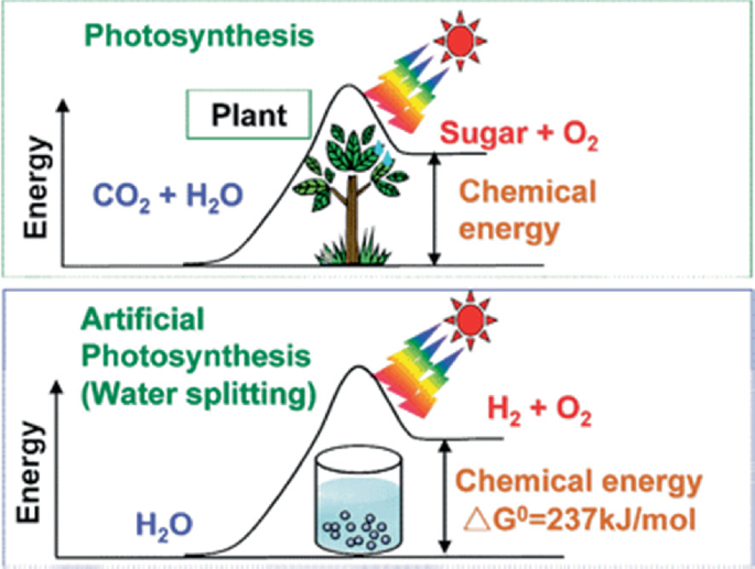 Two graphs illustrate the changes in energy in photosynthesis by green plants and artificial photosynthesis through water splitting.