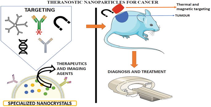 A schematic of theranostic nanocrystals for cancer. The specialized nanocrystals with therapeutics and imaging agents target the specific D N A. D N A and magnetic drugs target the tumor region of mice. As a result, the diagnosis and treatment of tumor region are denoted.