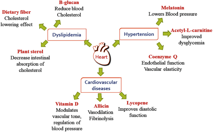 Advantages and Disadvantages of Nutraceuticals | Springer Nature Link
